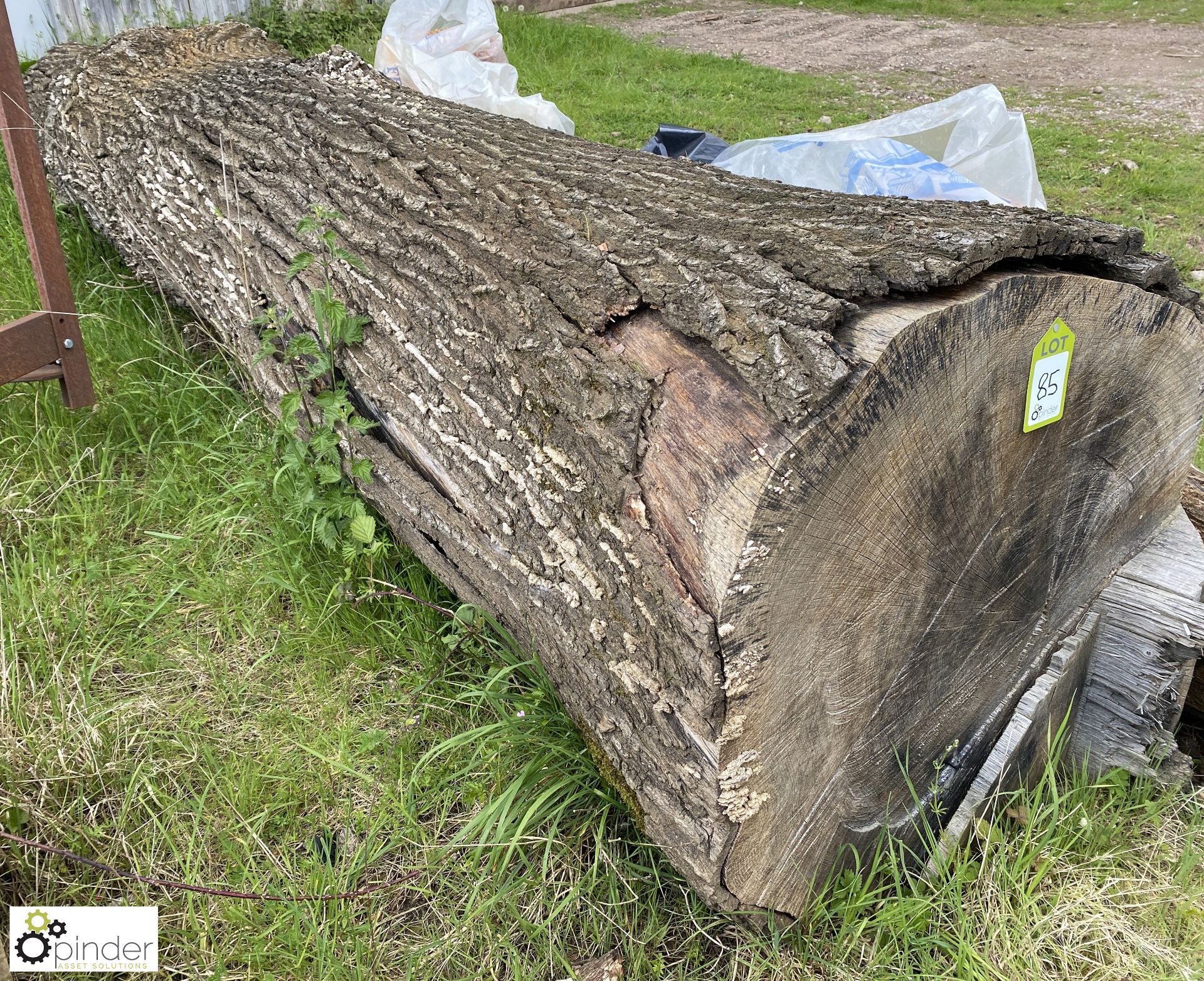 Cylindrical Oak Log, 4450mm x 820mm diameter x 800mm diameter - Image 4 of 8