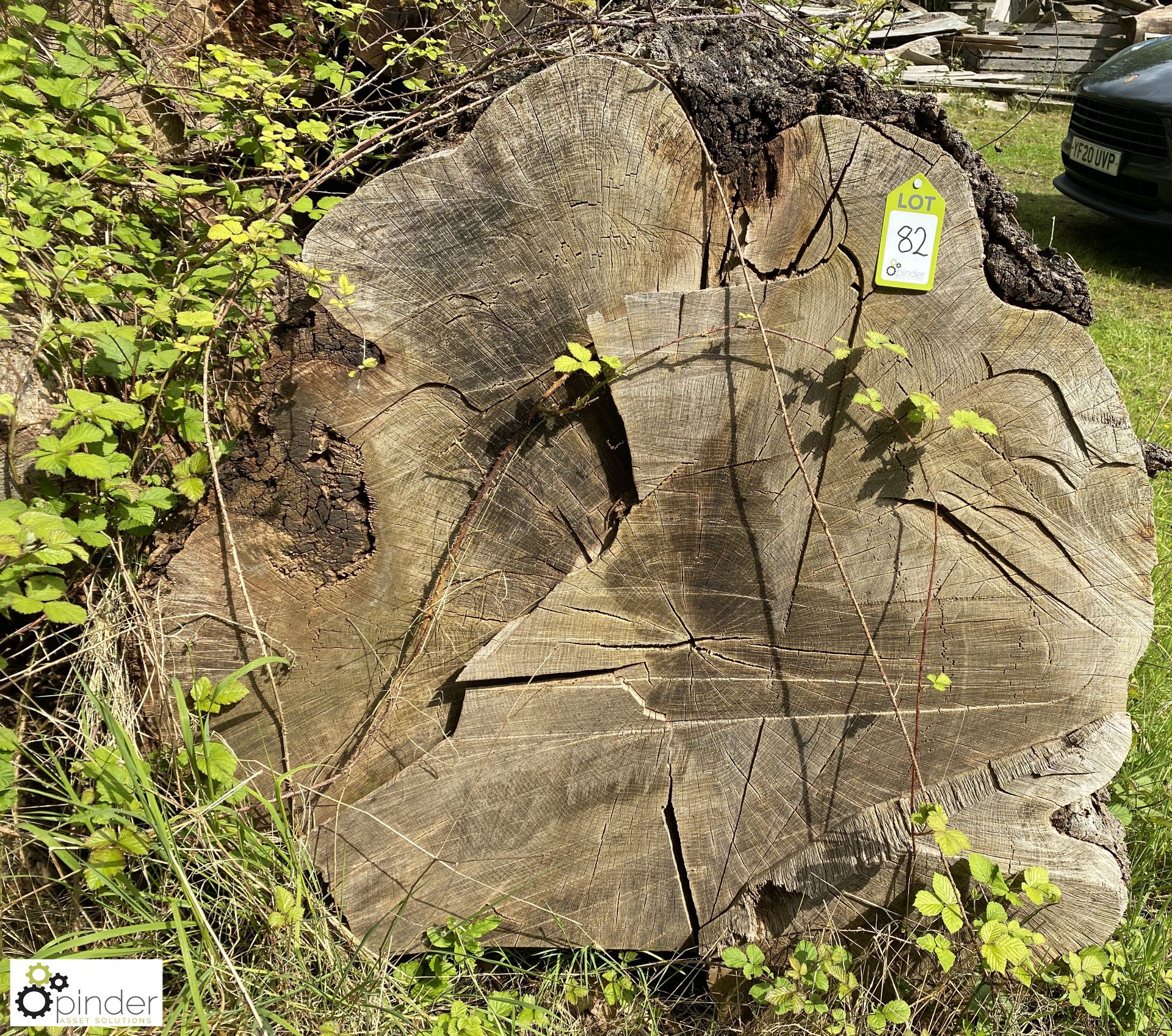 Cylindrical Oak Log, 2700mm x 1200mm diameter x 1000mm diameter - Image 2 of 3