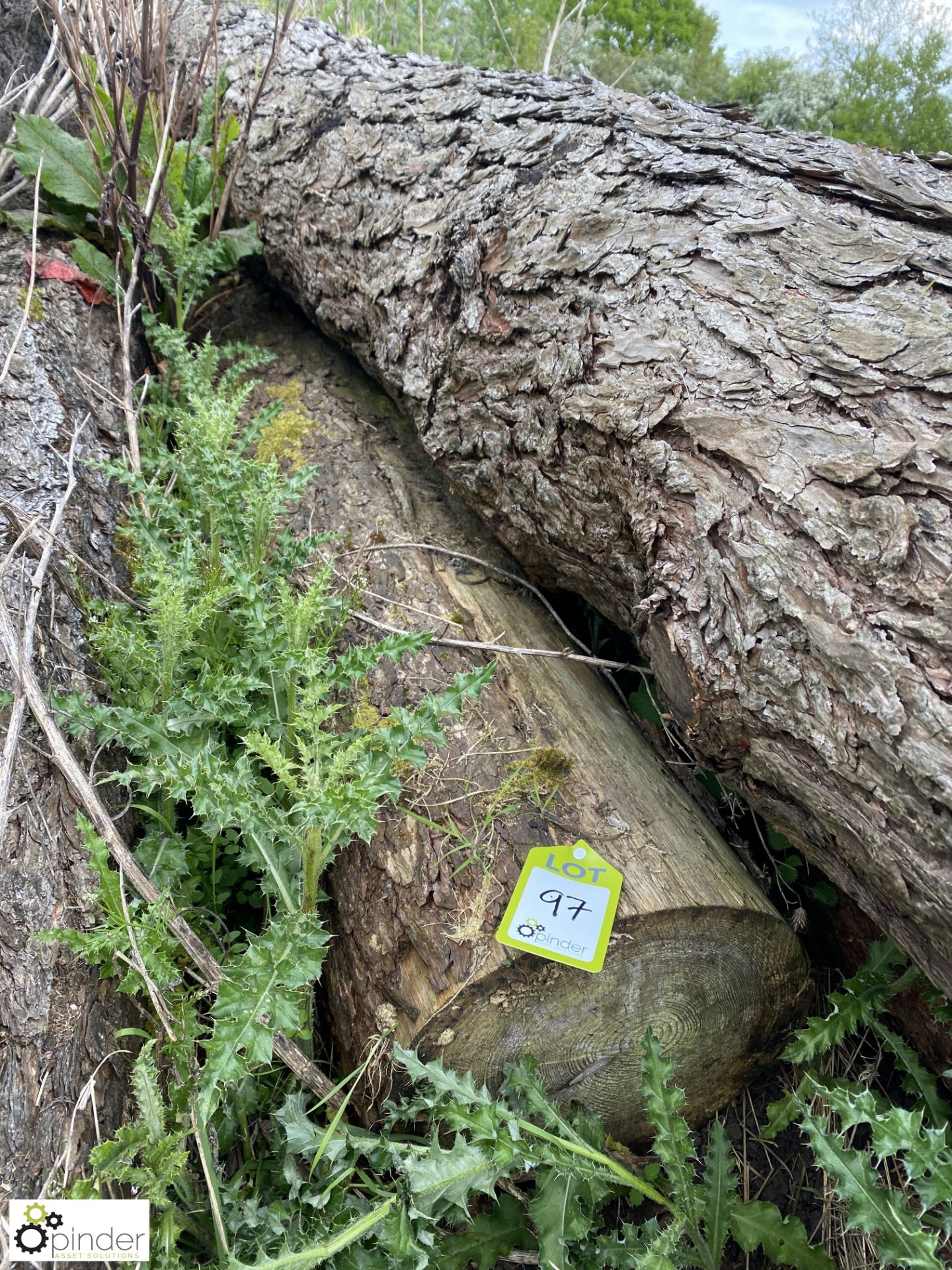 Softwood Log, approx. 10000mm x 250mm diameter - Image 3 of 5