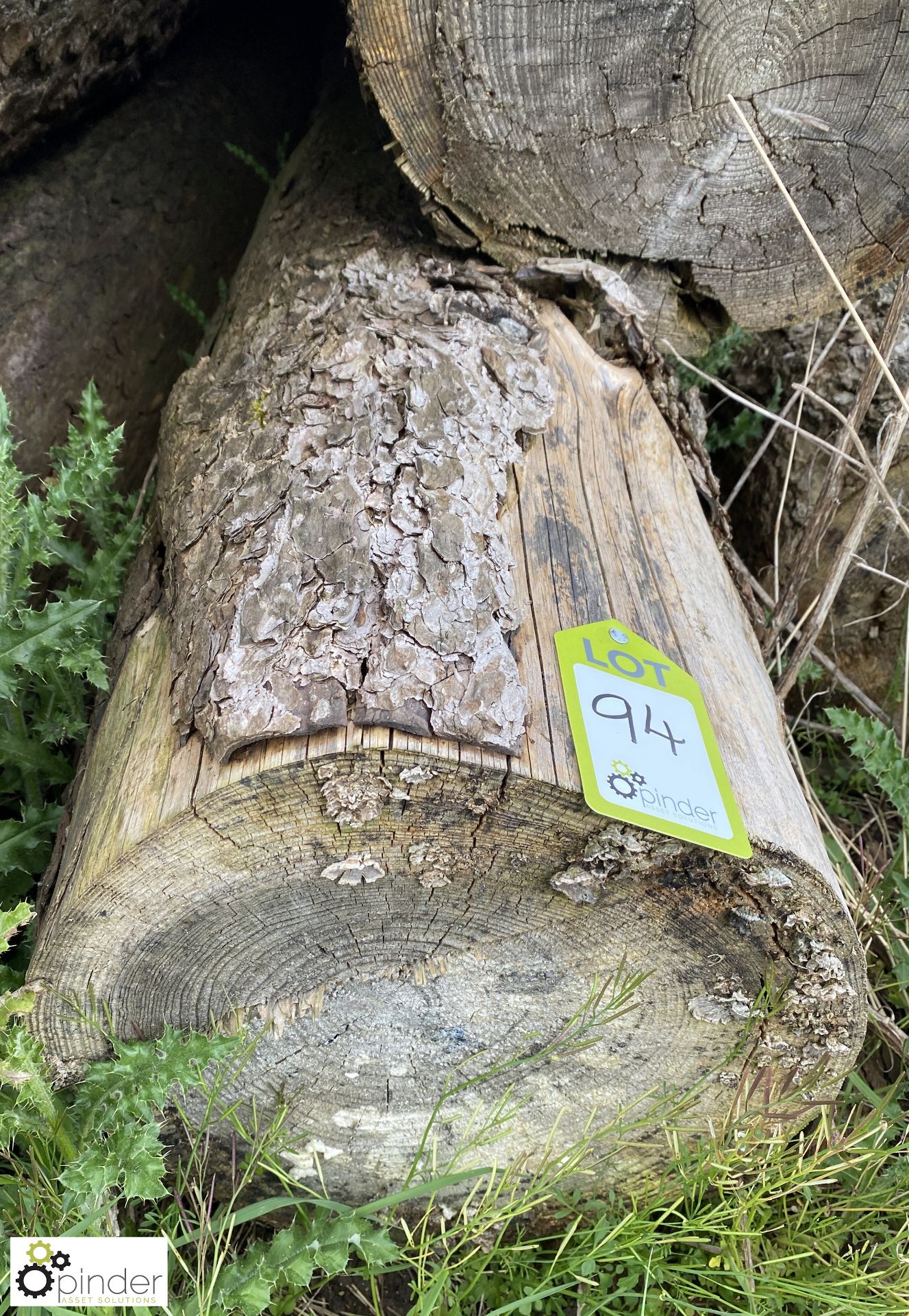 Softwood Log, approx. 10000mm x 380mm diameter