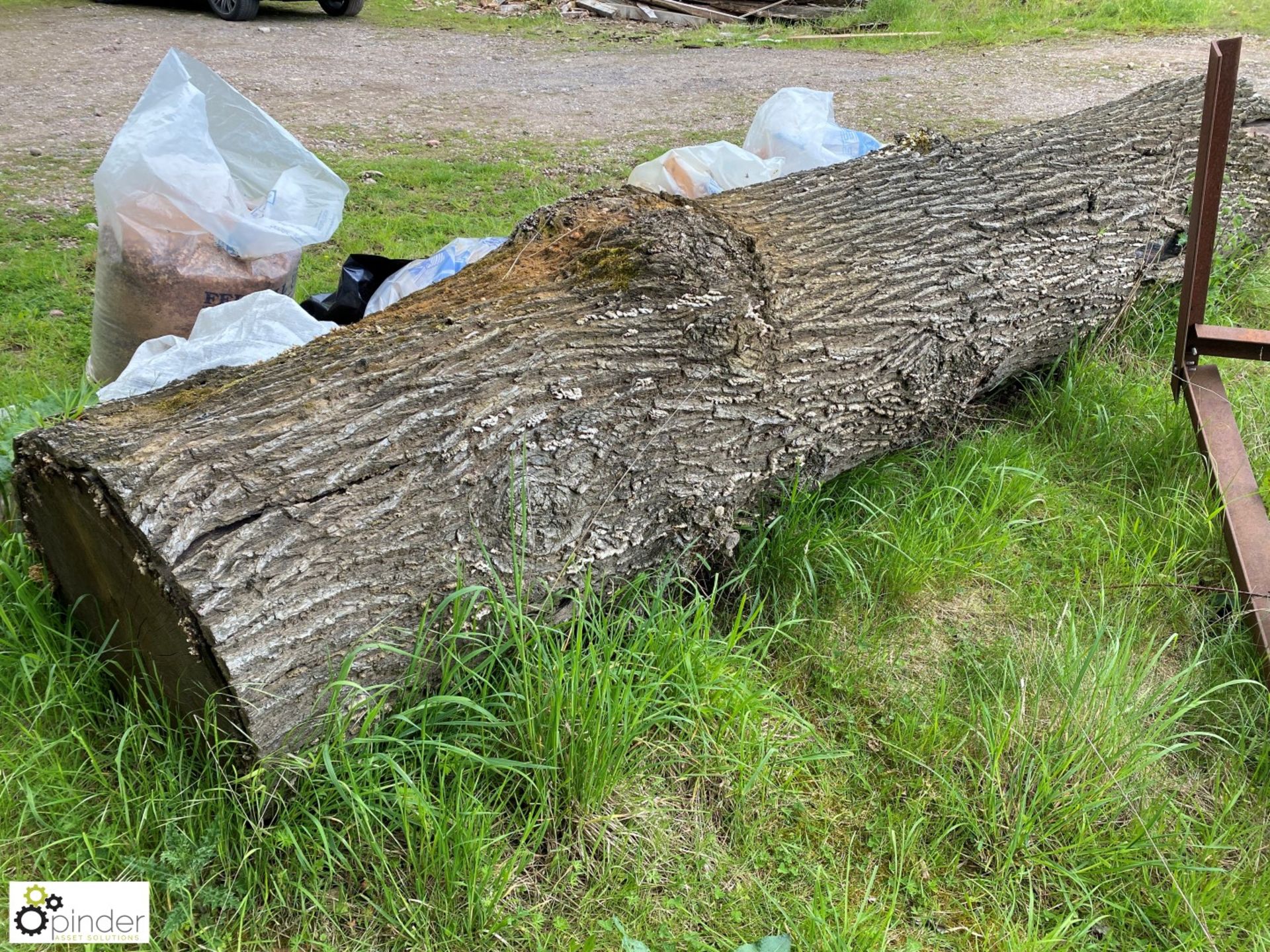 Cylindrical Oak Log, 4450mm x 820mm diameter x 800mm diameter - Image 7 of 8