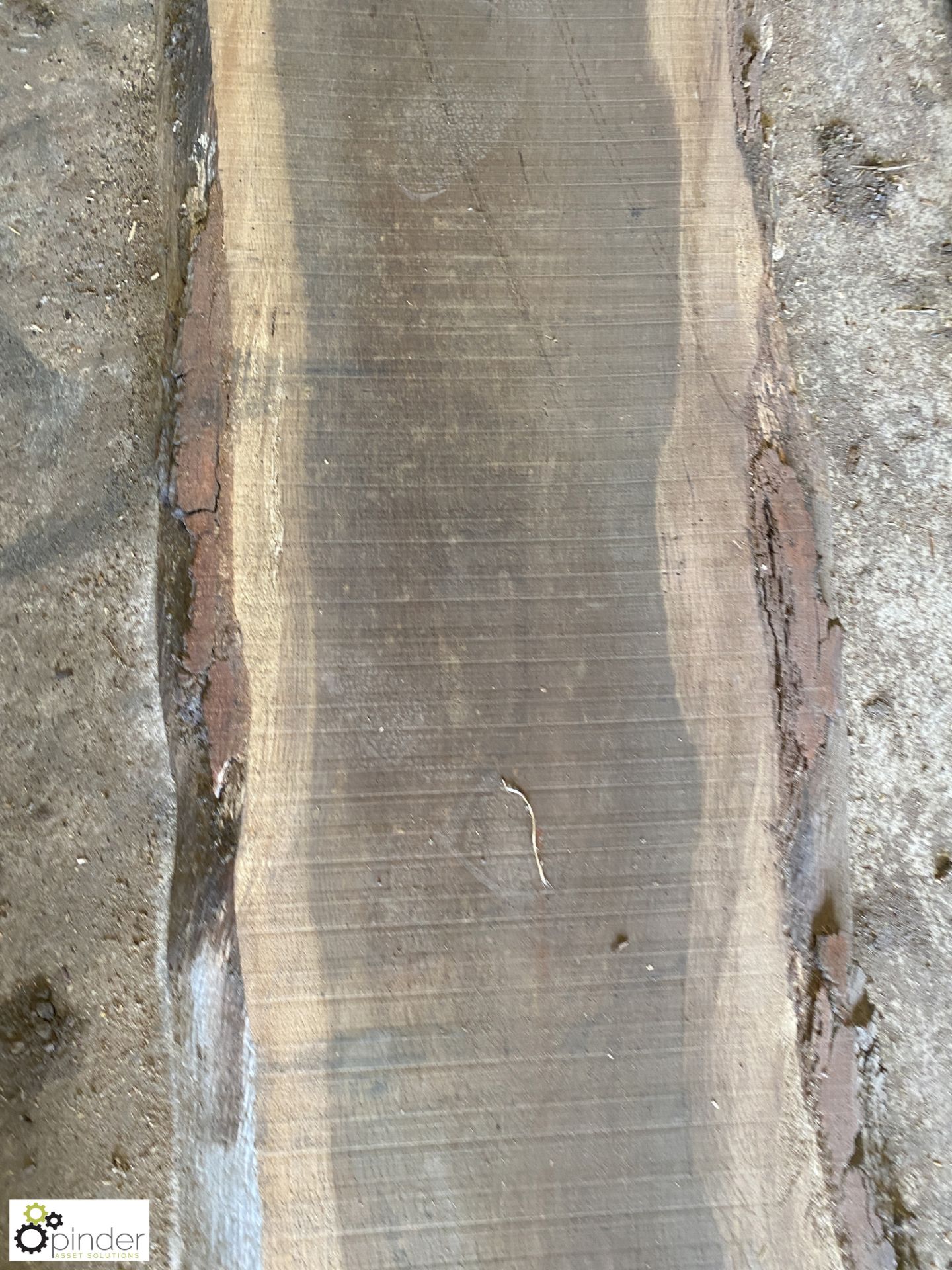 Air dried Oak Board, 3580mm x 650mm average x 60mm - Image 6 of 9