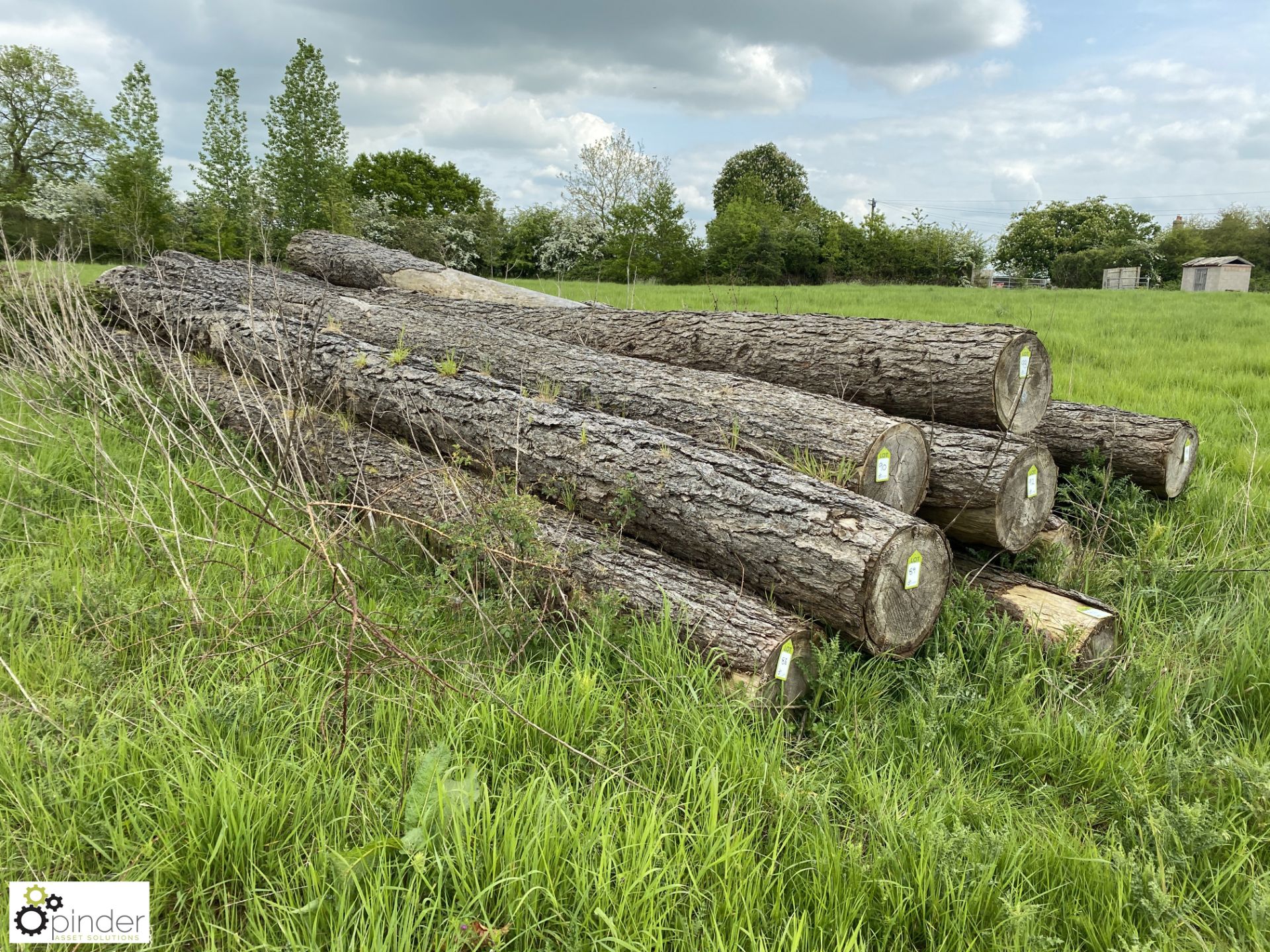 Softwood Log, approx. 10000mm x 360mm diameter - Image 3 of 4