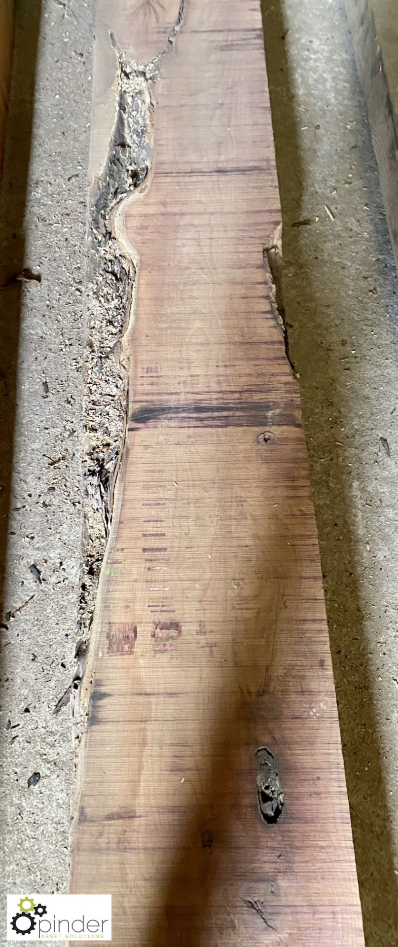 Air dried Yew Board, 2650mm x 280mm x 105mm - Image 3 of 6