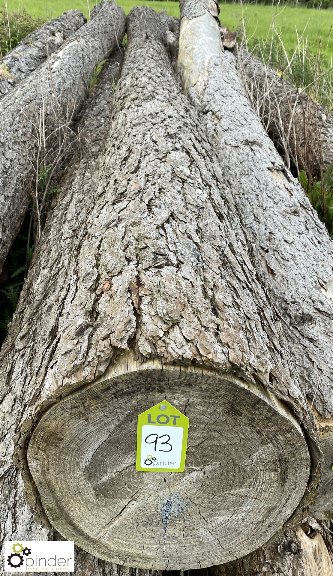 Softwood Log, approx. 10000mm x 420mm diameter - Image 2 of 4