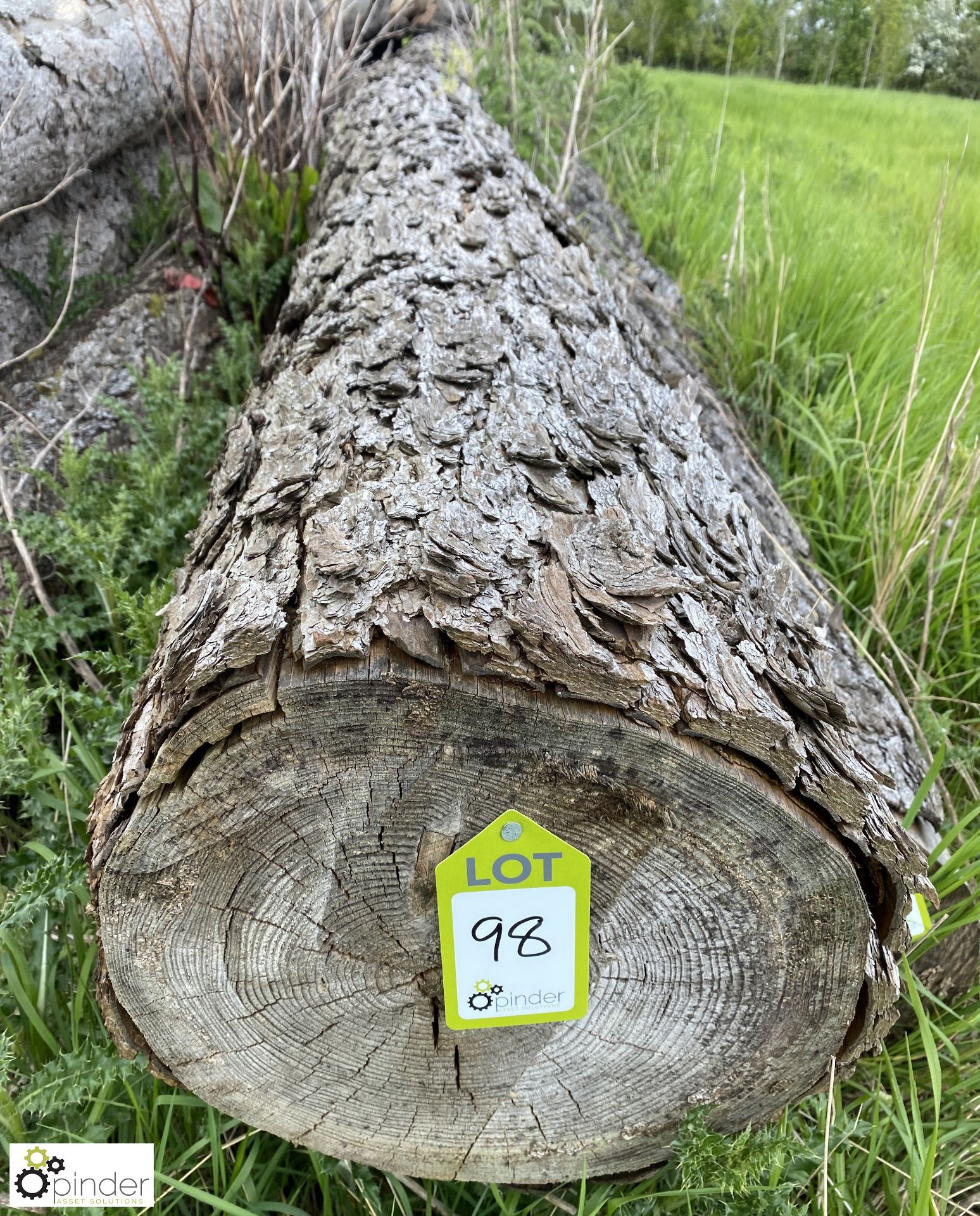 Softwood Log, approx. 10000mm x 420mm diameter - Image 2 of 5