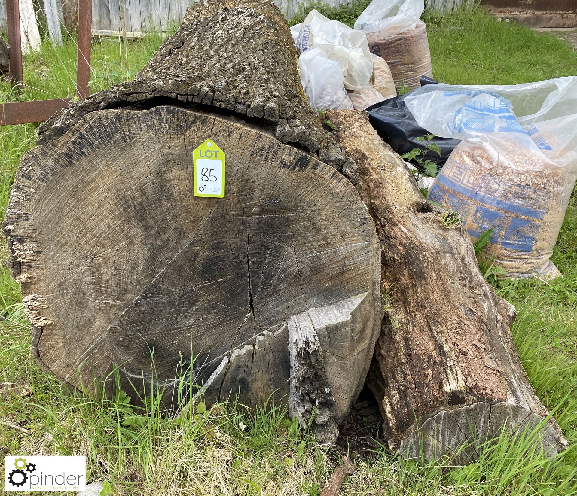 Cylindrical Oak Log, 4450mm x 820mm diameter x 800mm diameter - Image 2 of 8