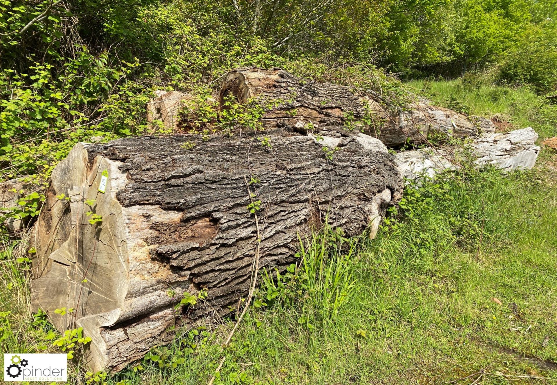 Cylindrical Oak Log, 2700mm x 1200mm diameter x 1000mm diameter