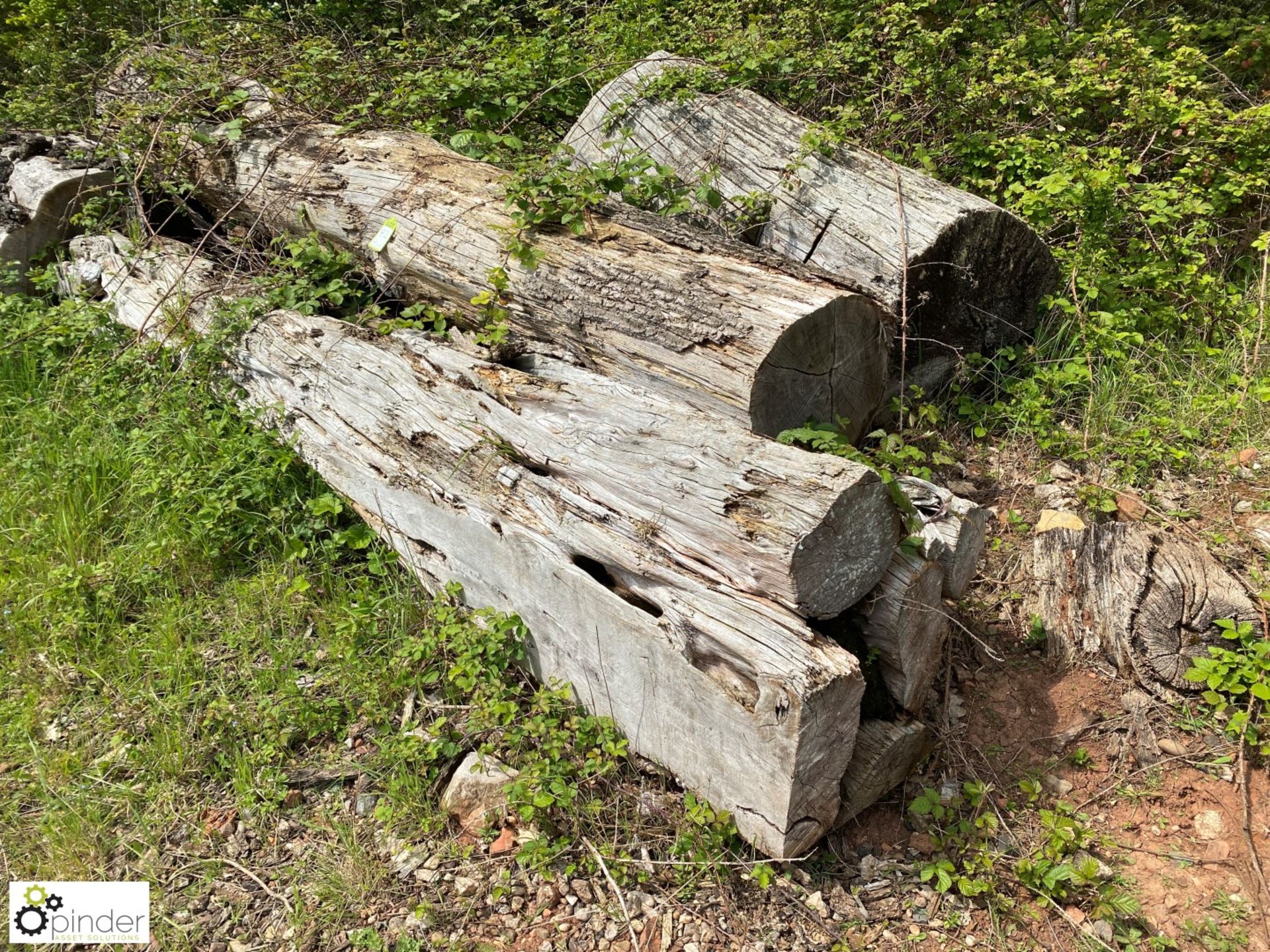 Approx 10 various Logs, comprising yew, oak, etc