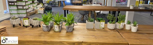16 various Artificial Plants/Succulents, with pots (ground floor breakout/café)