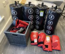 Quantity Boxercise Equipment, including gloves, pu