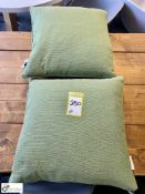 2 Cushions, sage (ground floor cafe)