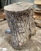Air dried Oak Stump, 850mm x 450mm diameter
