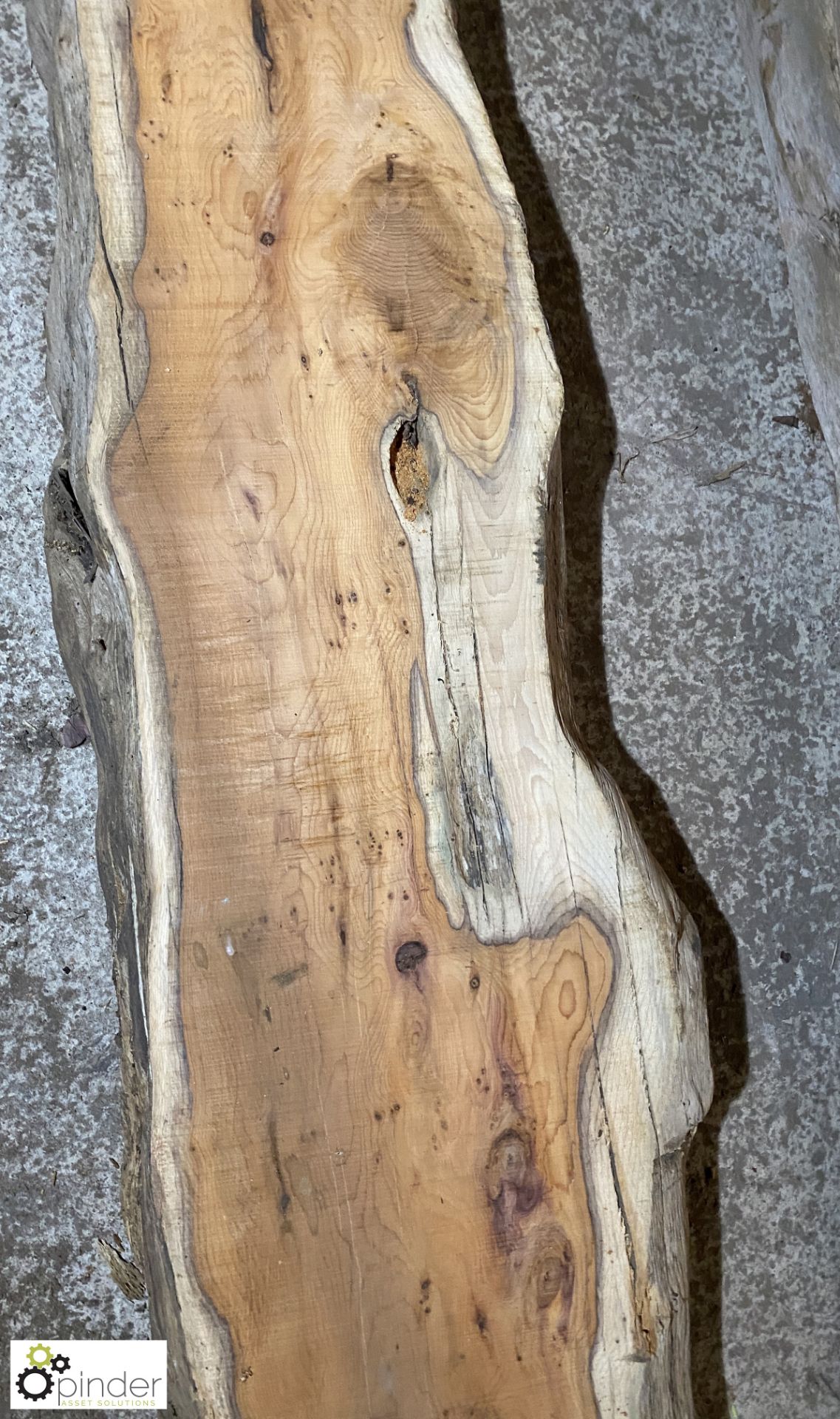 Air dried Yew Board, 3550mm x 250mm x 100mm - Image 4 of 6