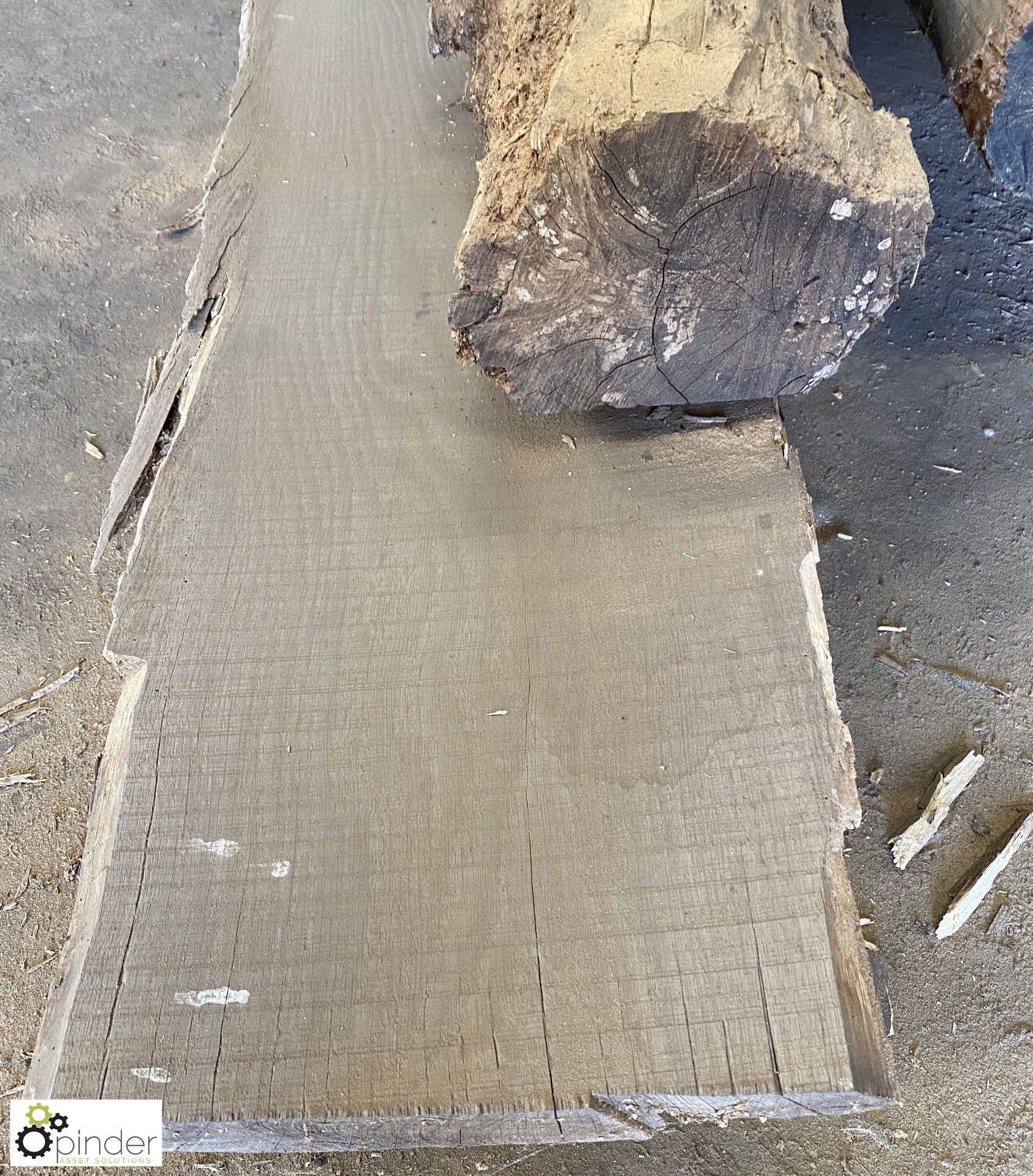 Ewe Board, 5600mm x 500mm ave x 150mm and Oak Board, 5700mm x 600mm x 80mm - Image 3 of 12