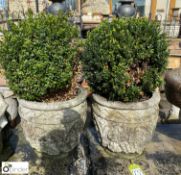 A pair of reconstituted stone Planters with grape