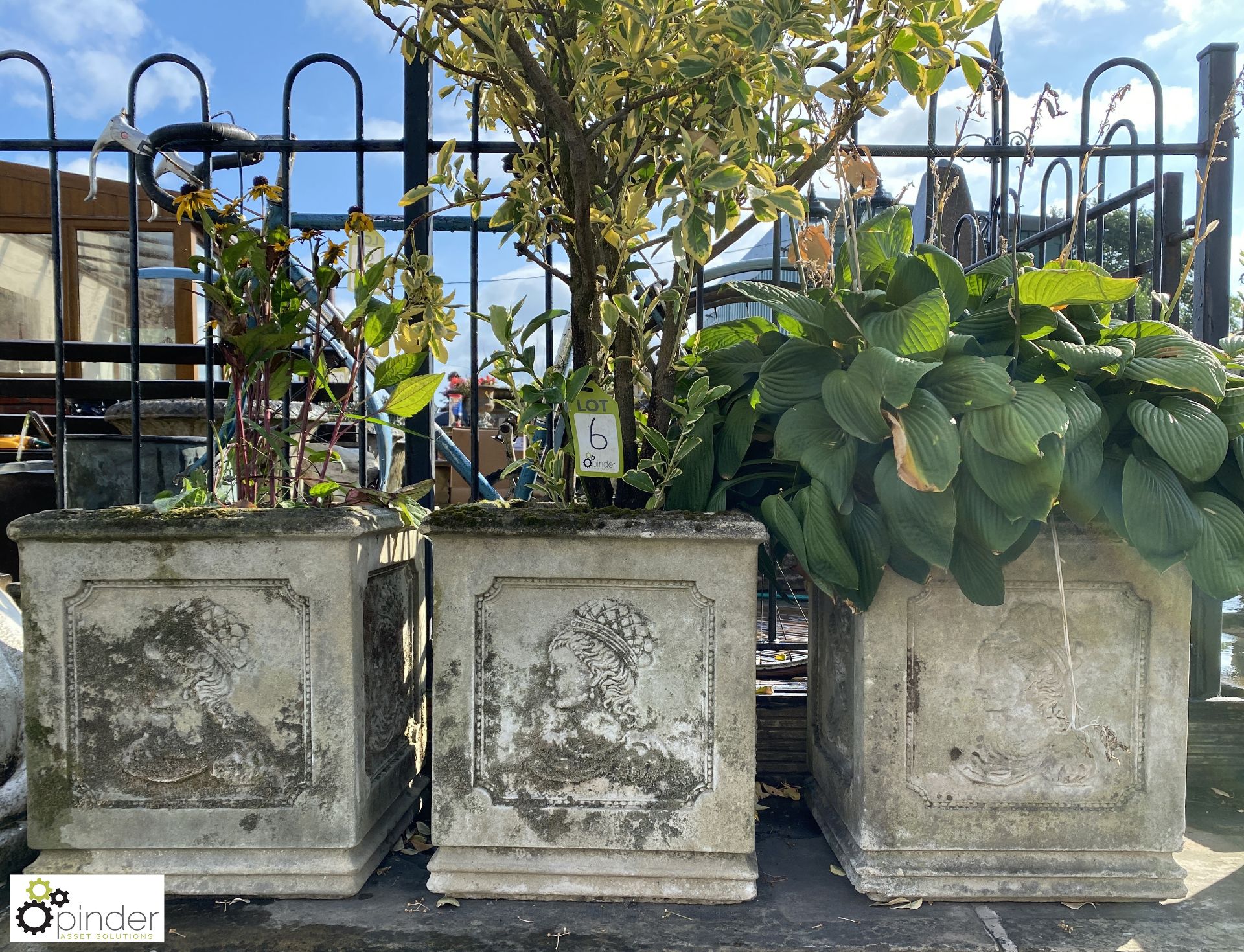 3 reconstituted stone Planters with Queen’s head d