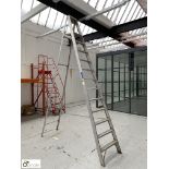 Aluminium 12-tread Stepladder