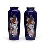 A PAIR OF PORCELAIN PEACOCK VASES