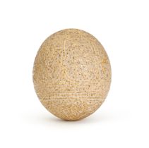 A CALLIGRAPHIC INSCRIBED OSTRICH EGG, LATE ZAND, EARLY QAJAR, 19TH CENTURY