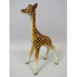 Rare Beswick Giraffe model no 835, approx 7 3/4" tall.