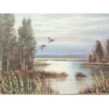 Oil on canvas of Ducks rising from a woodland lake. Housed in a gilt frame which measures 16 x 23 In