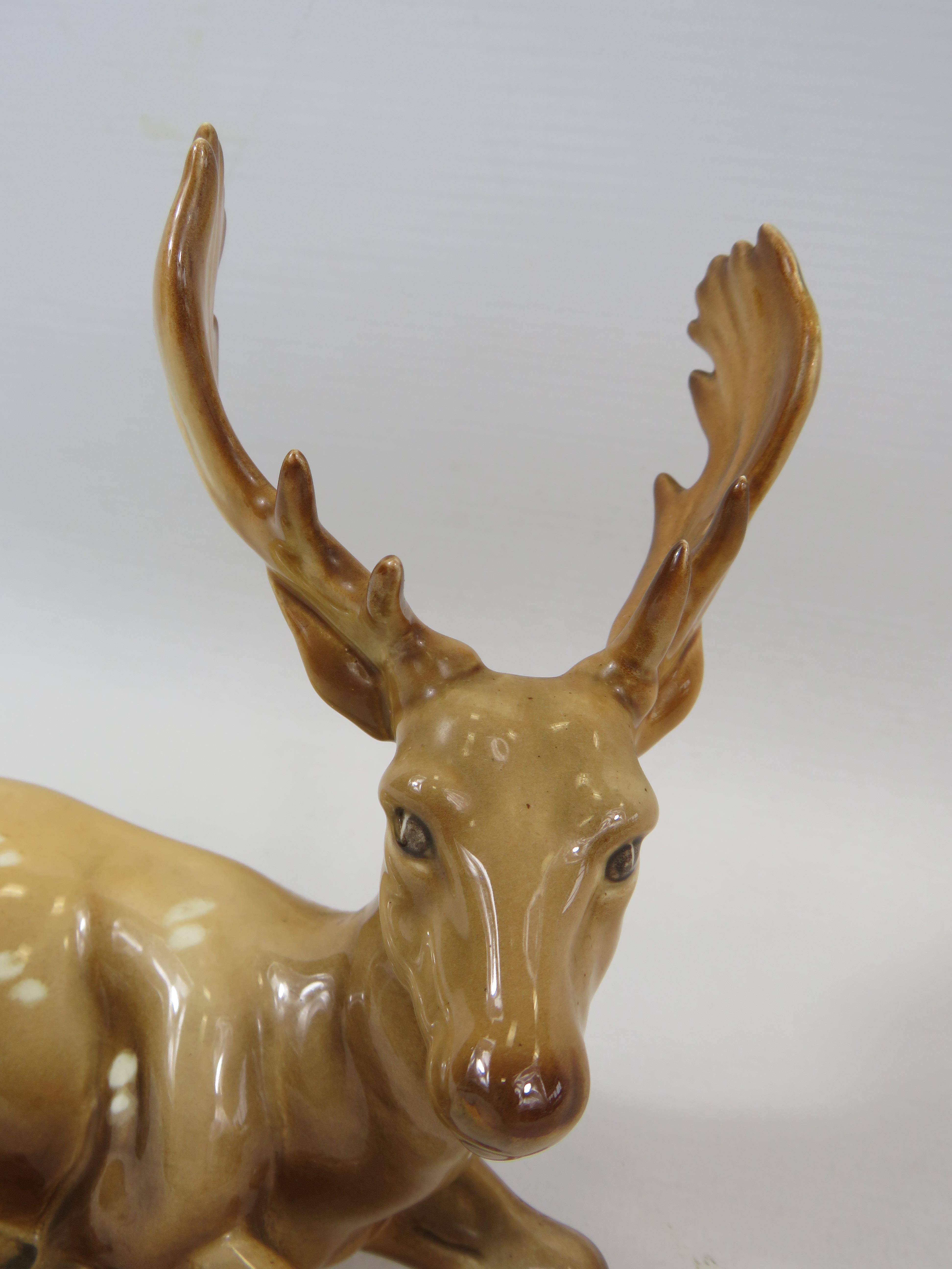 Beswick Stay laying down, Model no 954. Approx 15cm tall and 16cm long. - Image 3 of 4