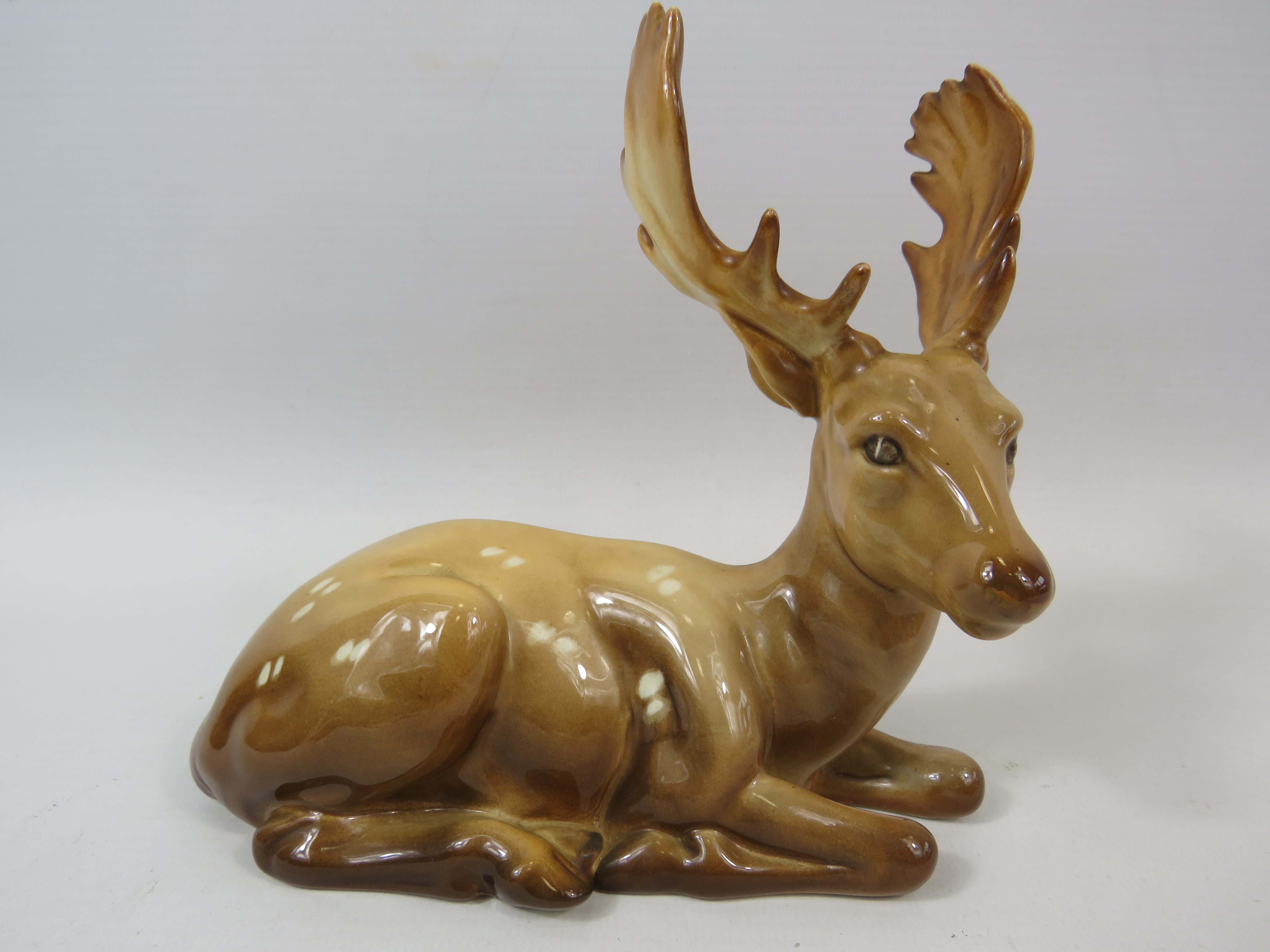 Beswick Stay laying down, Model no 954. Approx 15cm tall and 16cm long.