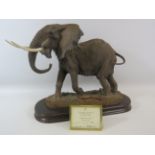 Large Country Artists limited edition Elephant Sculpture, The Patriarch by Gill Parker 391/500 CA450