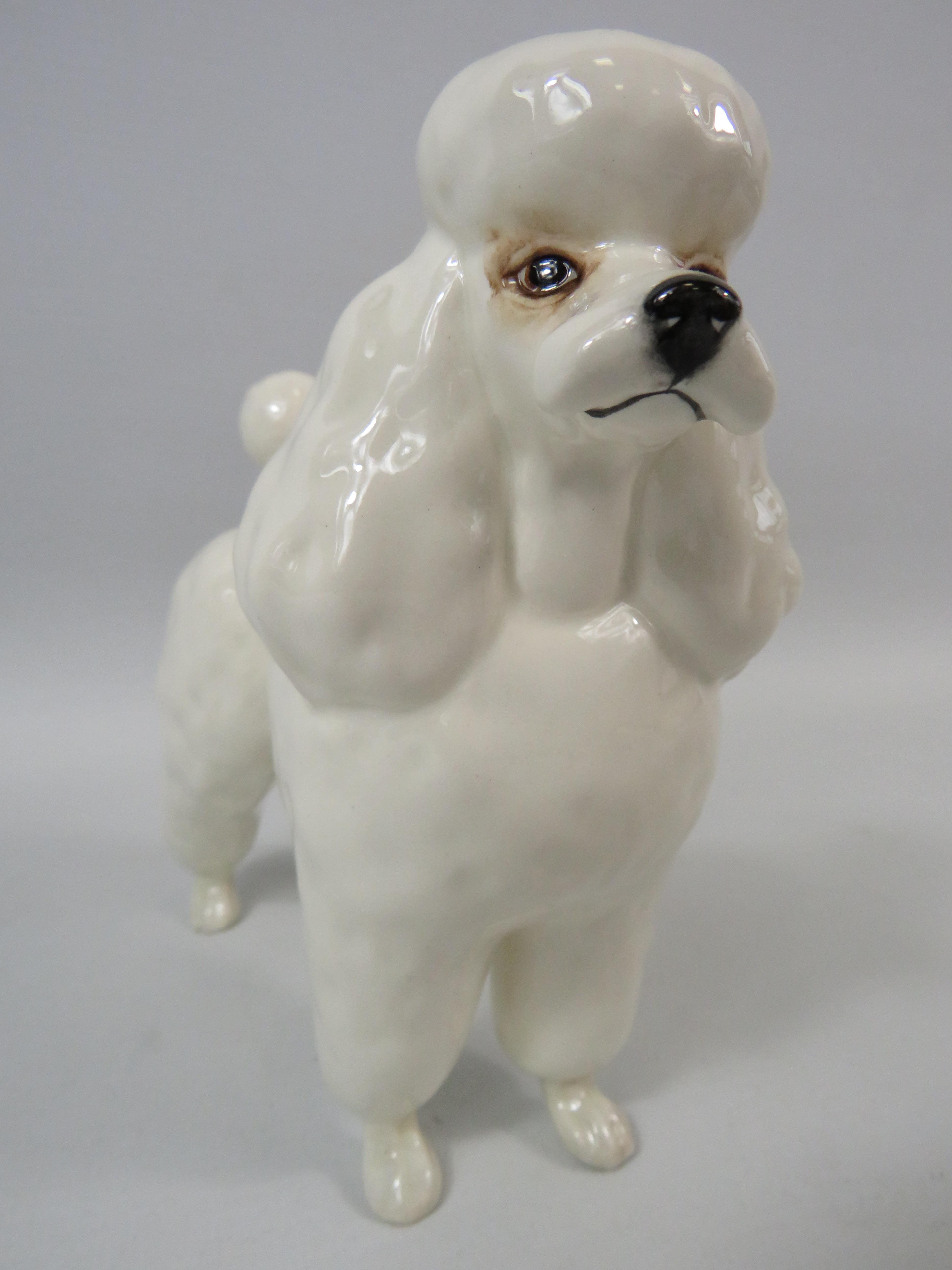 Beswick Poodle figurine. - Image 2 of 4