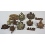 Selection of Canadian military Cap badges and Lapel badges.