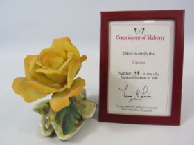 Connoisseur of Malvern "Clarissa" Limited edition porcelain rose with certificate 48 of 100, some