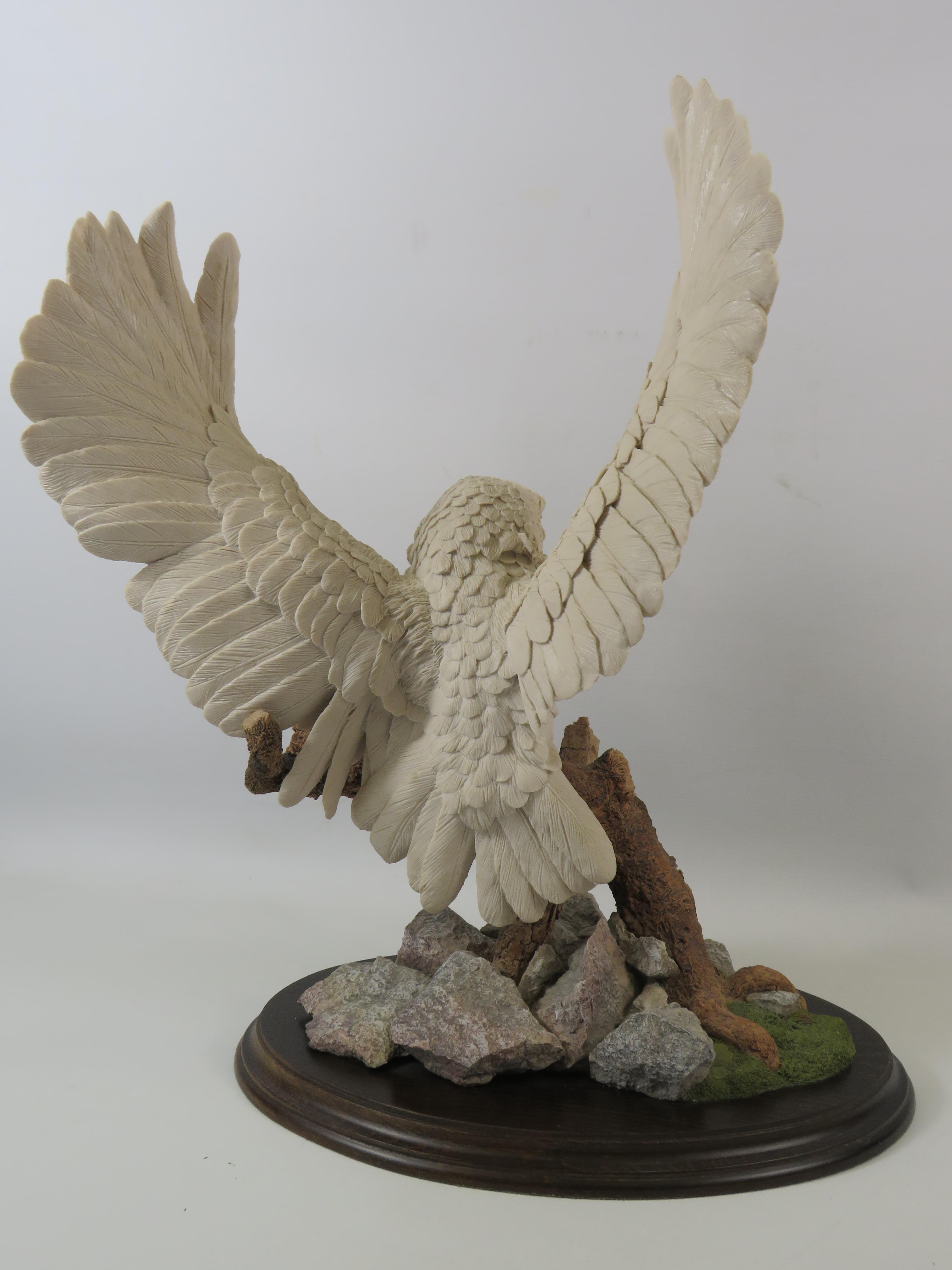 Large Country Artist limited edition sculpture of an Owl "White Splender" No 209 of 350 with cert no - Image 3 of 5