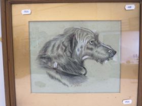 Pencil and watercolour sketch of a Lurcher signed A.M.Short. Possibly Victorian era. Framed and moun