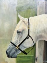 Beautifully Painted Oil on Board of a White horse's Head. Mounted in a Gold painted frame which mea