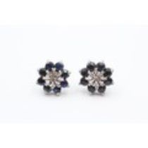 9ct White Gold Diamond & Sapphire Floral Cluster Stud Earrings (2.6g) 2036019