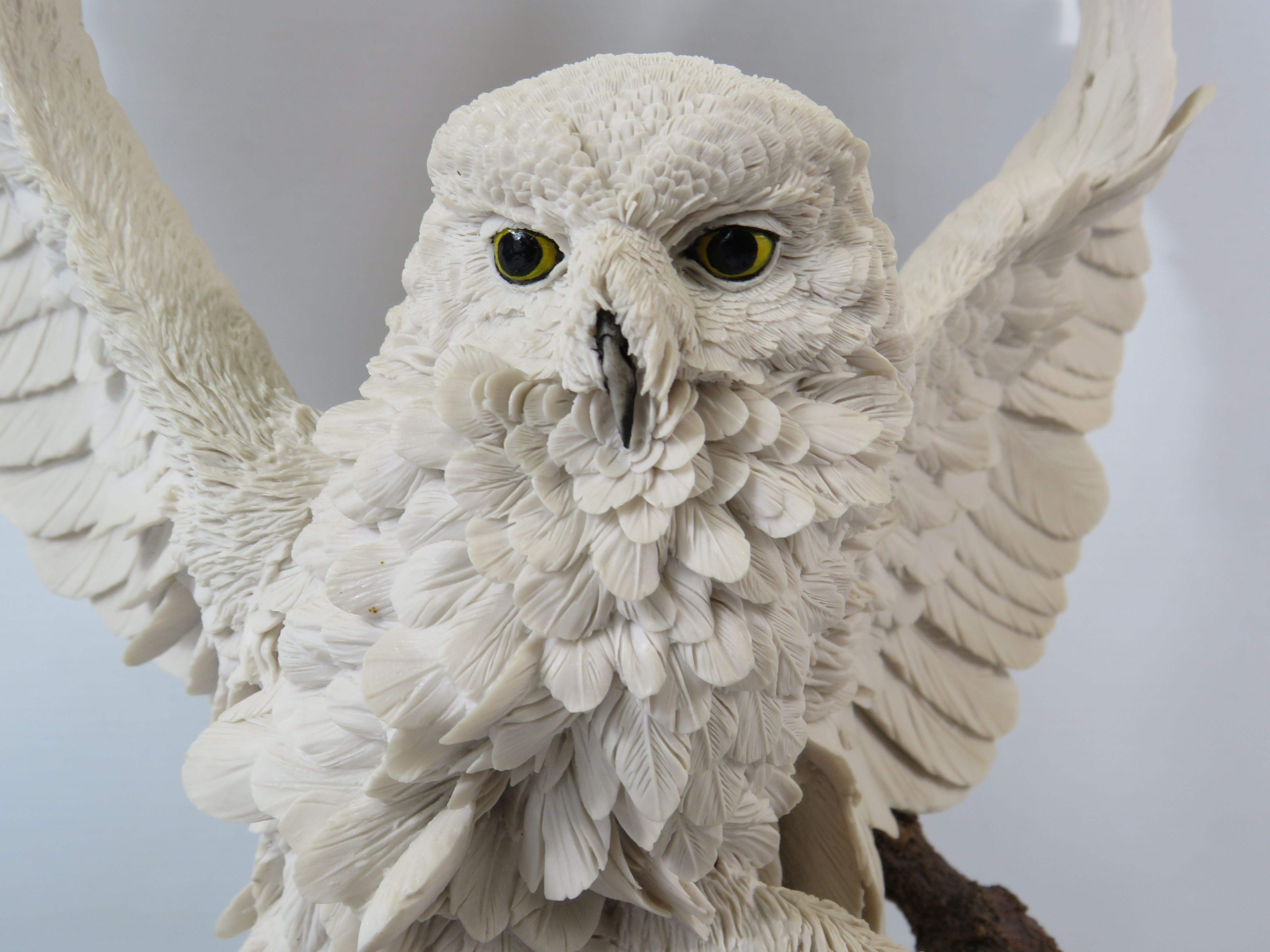 Large Country Artist limited edition sculpture of an Owl "White Splender" No 209 of 350 with cert no - Image 2 of 5