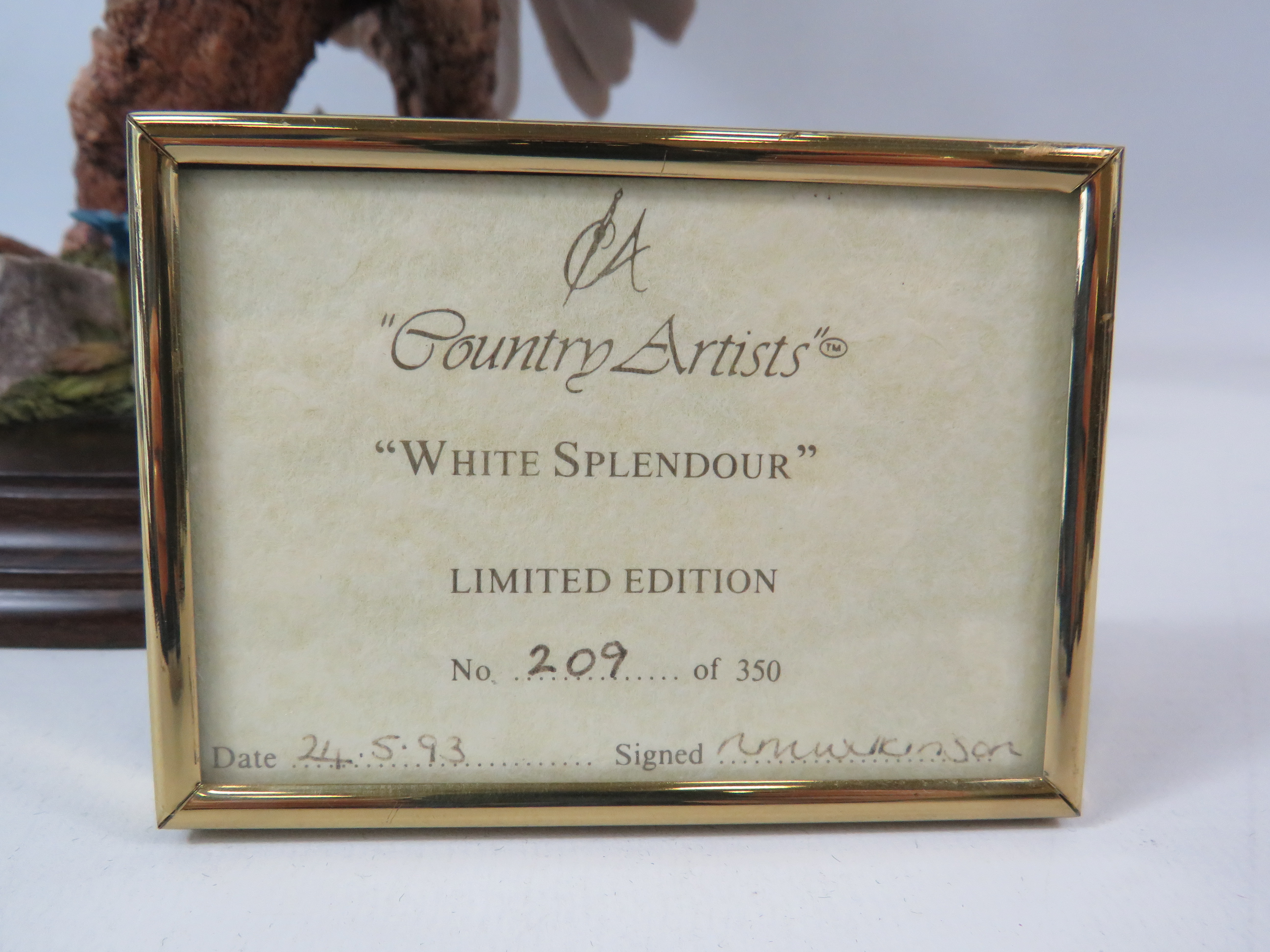 Large Country Artist limited edition sculpture of an Owl "White Splender" No 209 of 350 with cert no - Image 4 of 5