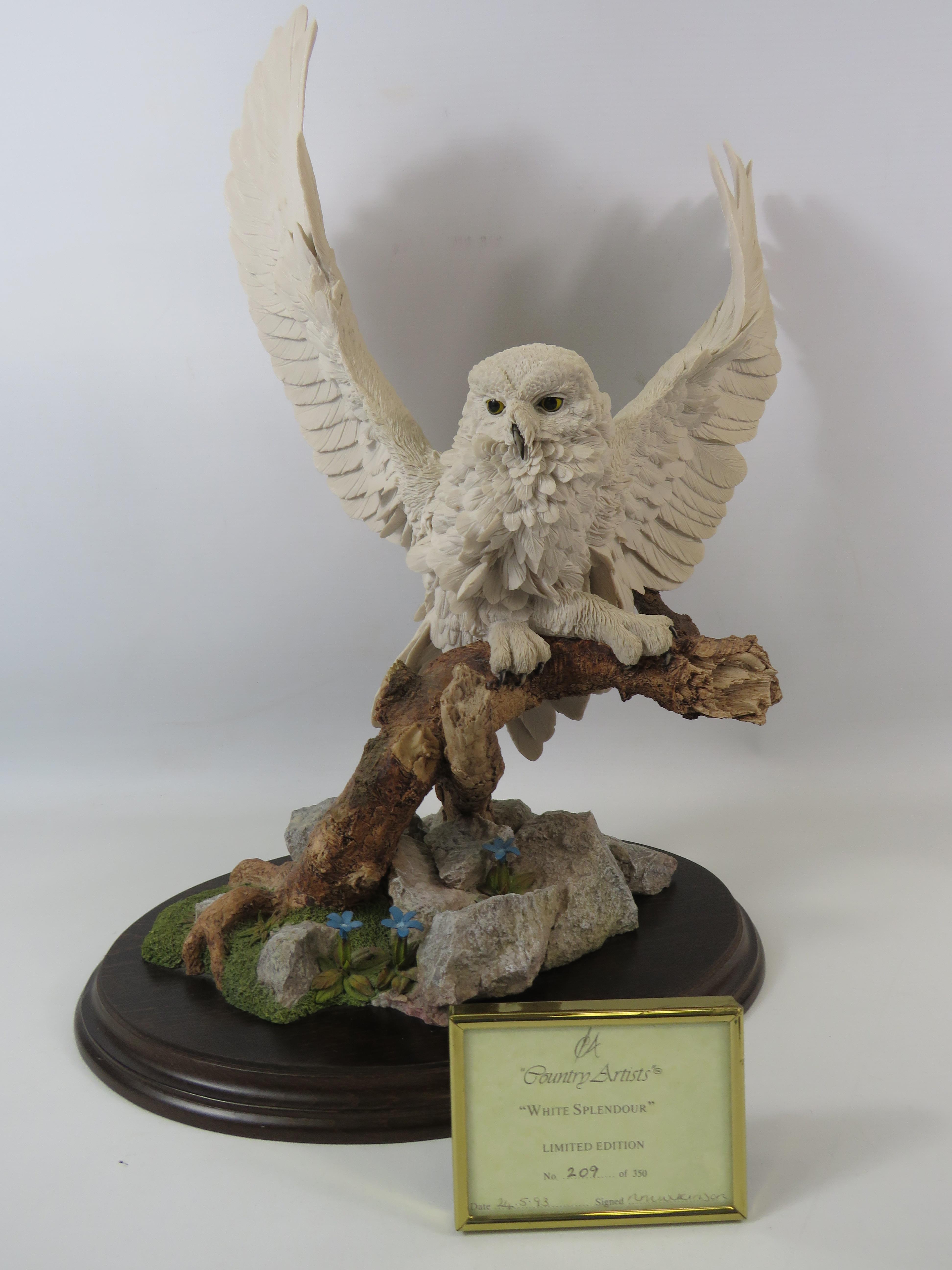 Large Country Artist limited edition sculpture of an Owl "White Splender" No 209 of 350 with cert no