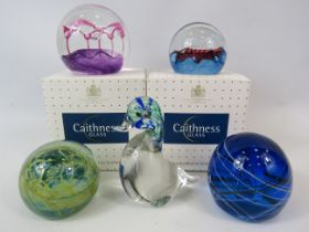 5 art glass paperweight by Caithness, Wedgwood and Mdina.