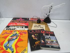 Selection of LPs, a guitar light and Queen books.