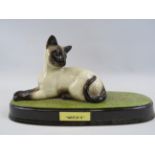 Beswick Siamese cat on ceramic named "Watch it" plaque 6" tall and 11" long.