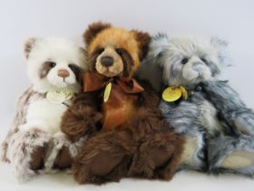 3 X Charlie Bear teddies Jed CB183971A, Ashton CB094078D & Heidi CB614839.