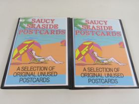 Two Well Presented Albums of Seaside Naughty postcards by Pedro, Rex etc. approx 160+ postcards. See