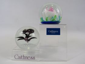 2 Caithness limited edition paperweights "Opus 88" 64/1000 and "Night flower" 257/1500.