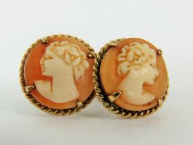 9ct Gold Carved Shell Cameo Stud Earrings (3.1g) 2025833