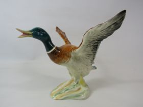 Beswick Mallard duck taking flight, model no749 approx 17cm tall.