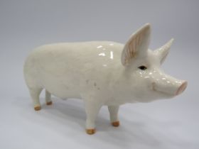 Beswick pig figurine Champion Wall boy.