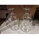 16 x 25cm Clear Glass Bottles