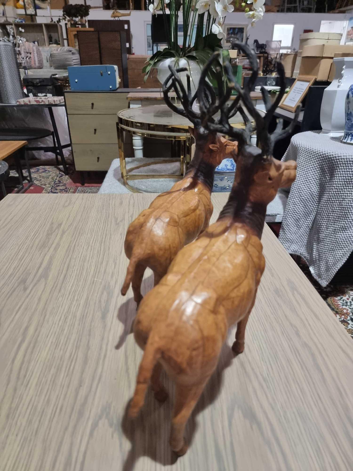 A Set of 2 x Leather Wrapped Deer with Antlers With Glass Eyes The Deer Have Glass Eyes And Is - Image 5 of 9